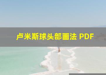 卢米斯球头部画法 PDF